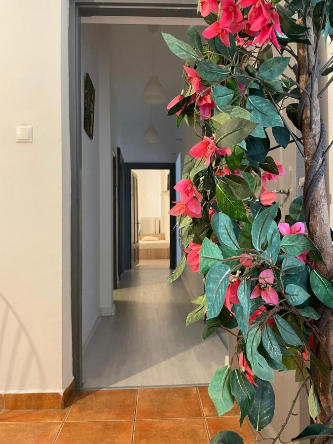 Outstanding 3Br Ultracentral Cityview Balcony Aaa Apartamento Bucareste Exterior foto
